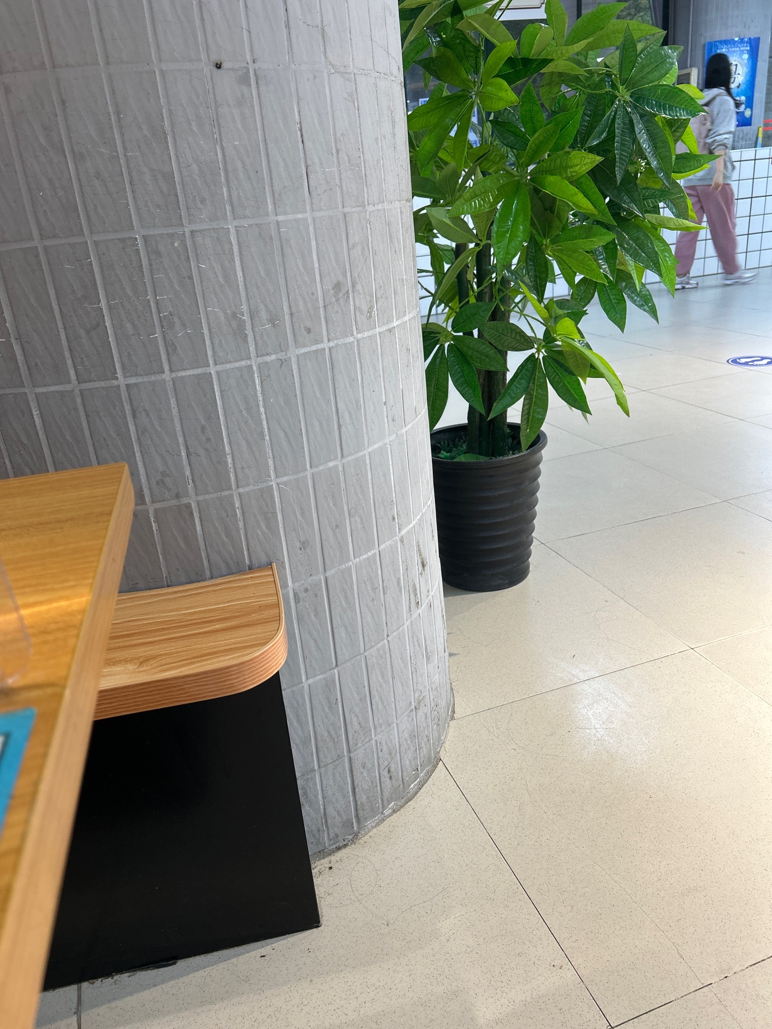 西桥公园旅行图片 2