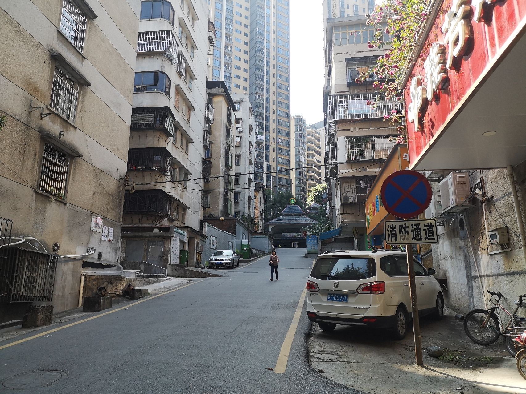 西桥公园旅行图片 2