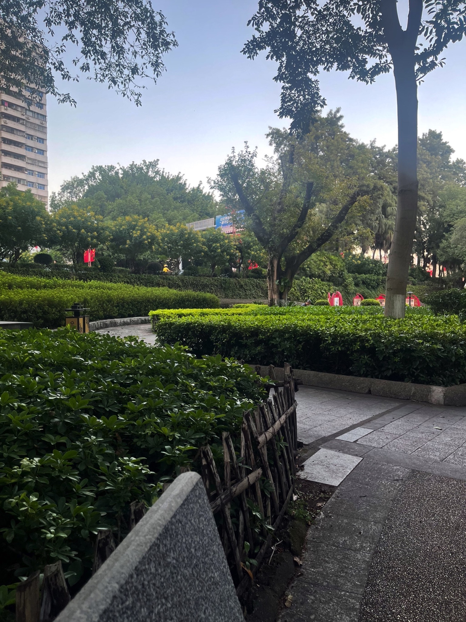 西桥公园旅行图片 1