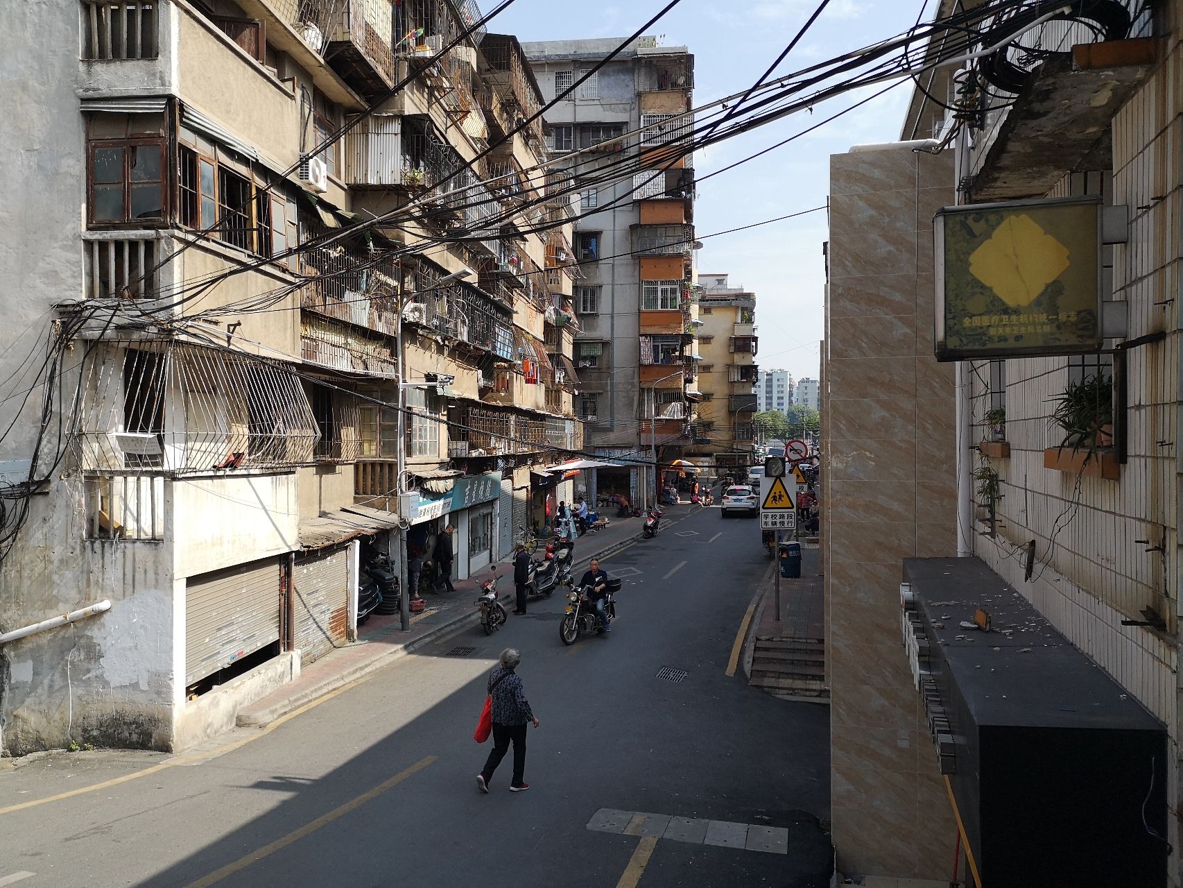 西桥公园旅行图片 1