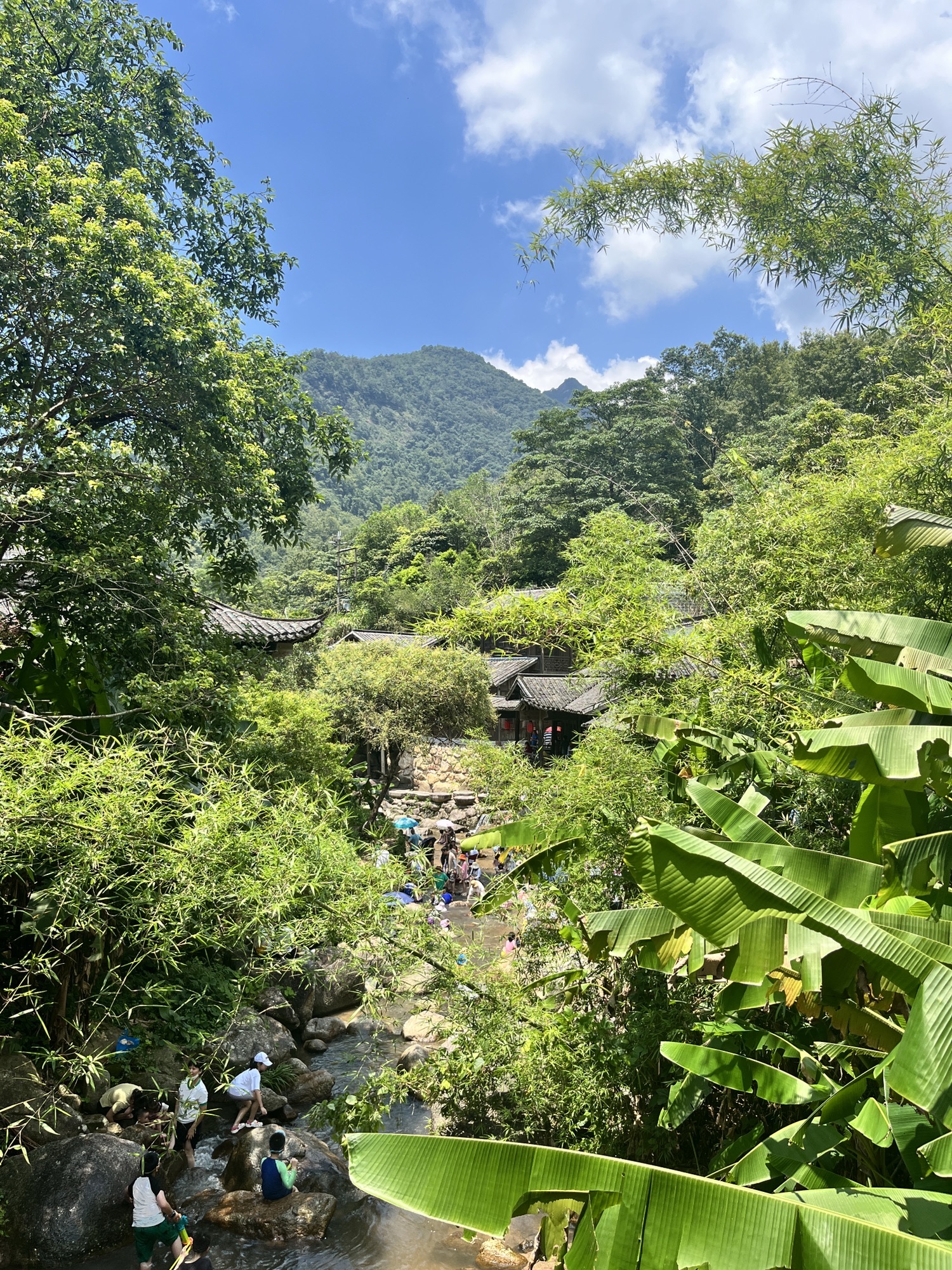 云髻山省级自然保护区旅行图片 3