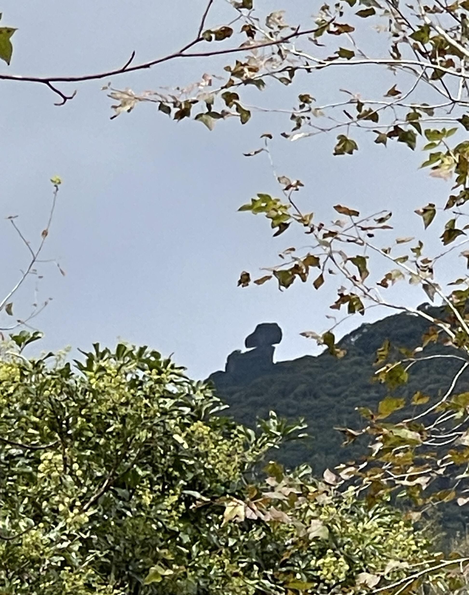 云髻山省级自然保护区旅行图片 2