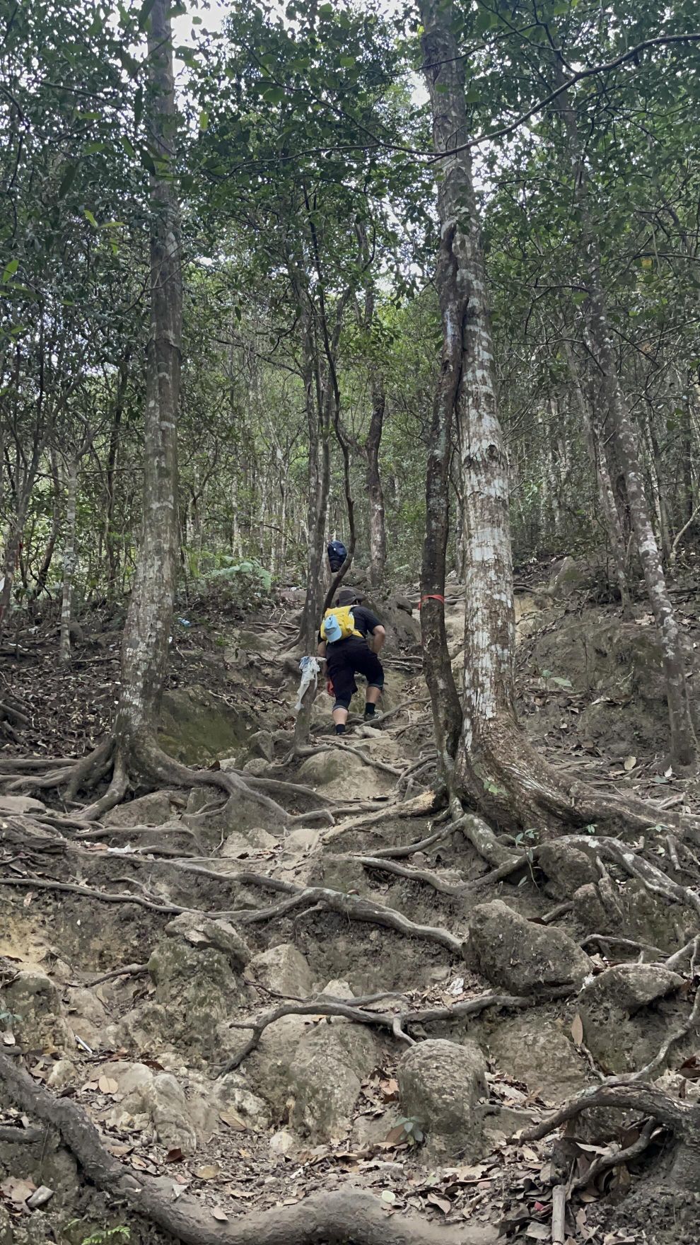 云髻山省级自然保护区旅行图片 3