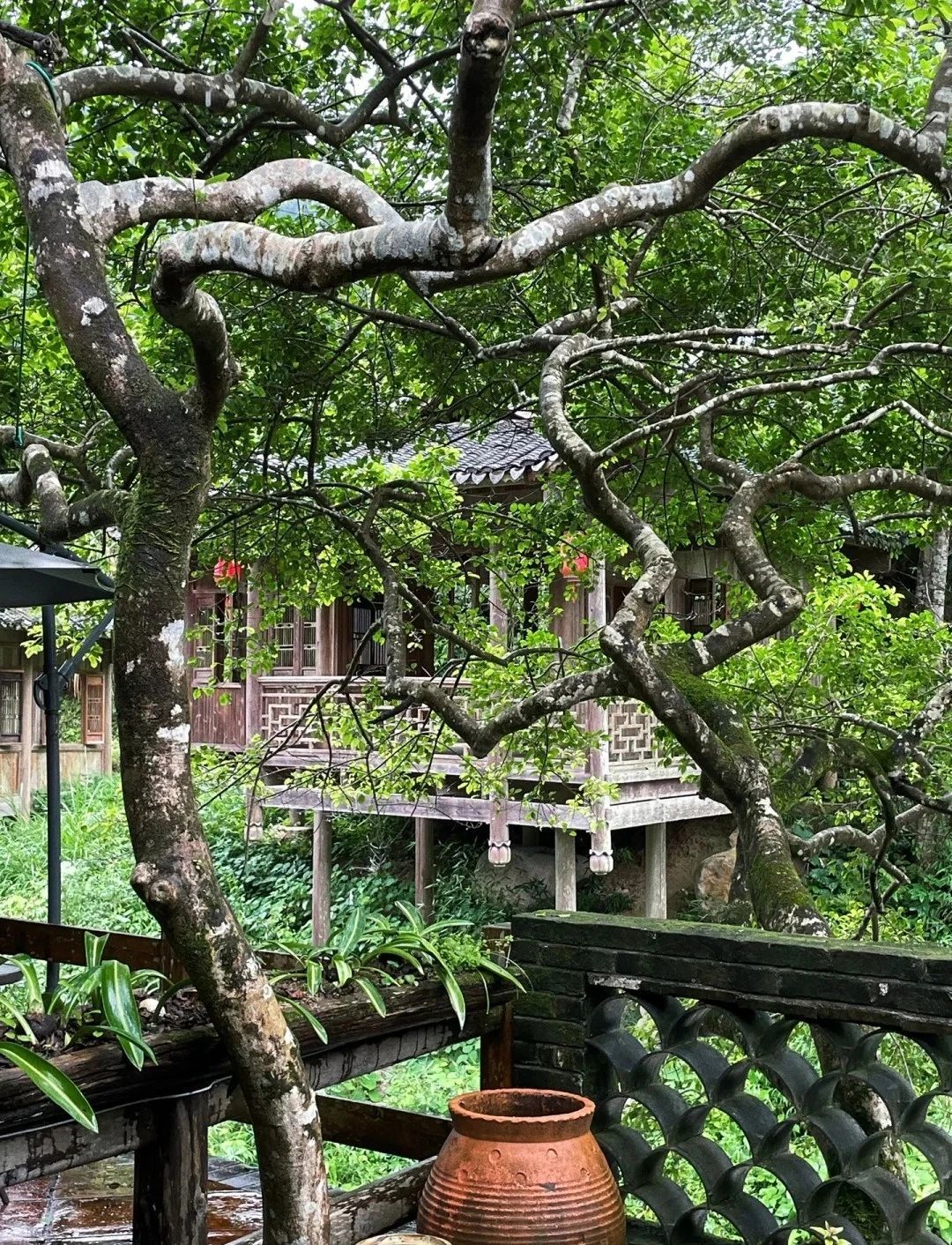云髻山省级自然保护区旅行图片 1