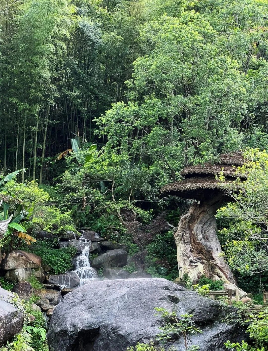 云髻山省级自然保护区旅行图片 2