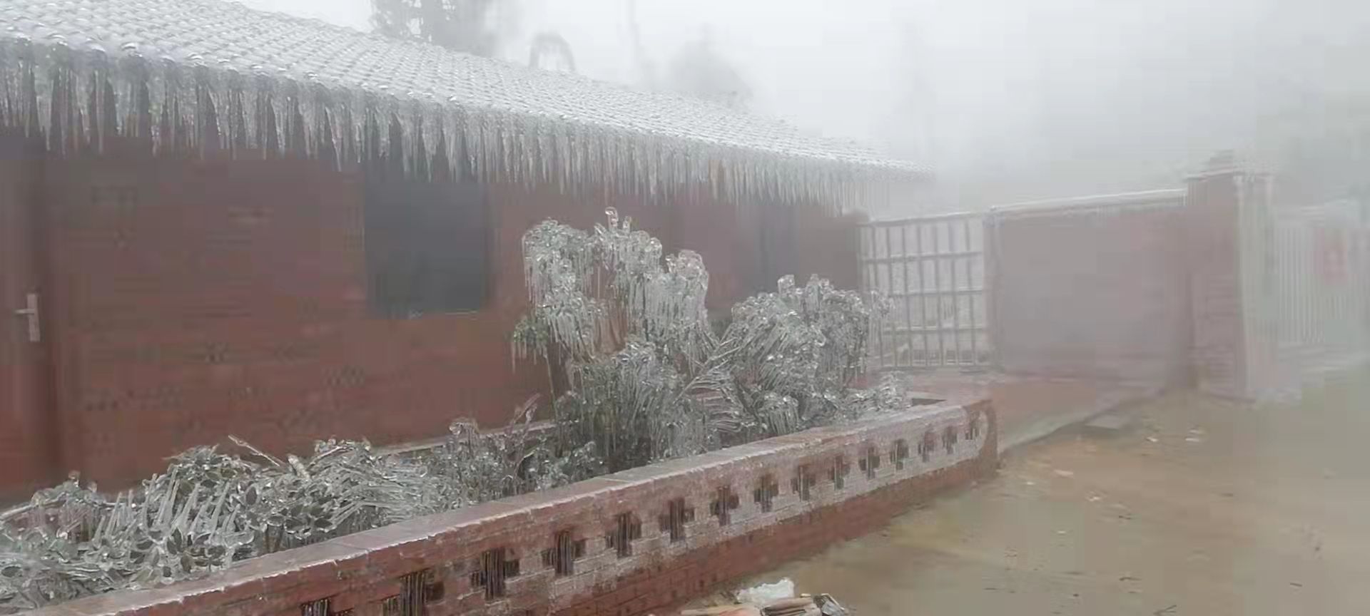 青嶂山风景区旅行图片 1