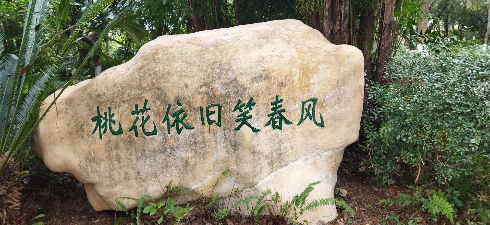 沙湖公园旅行图片 1
