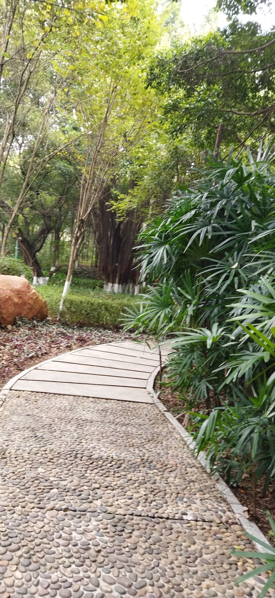 沙湖公园旅行图片 2
