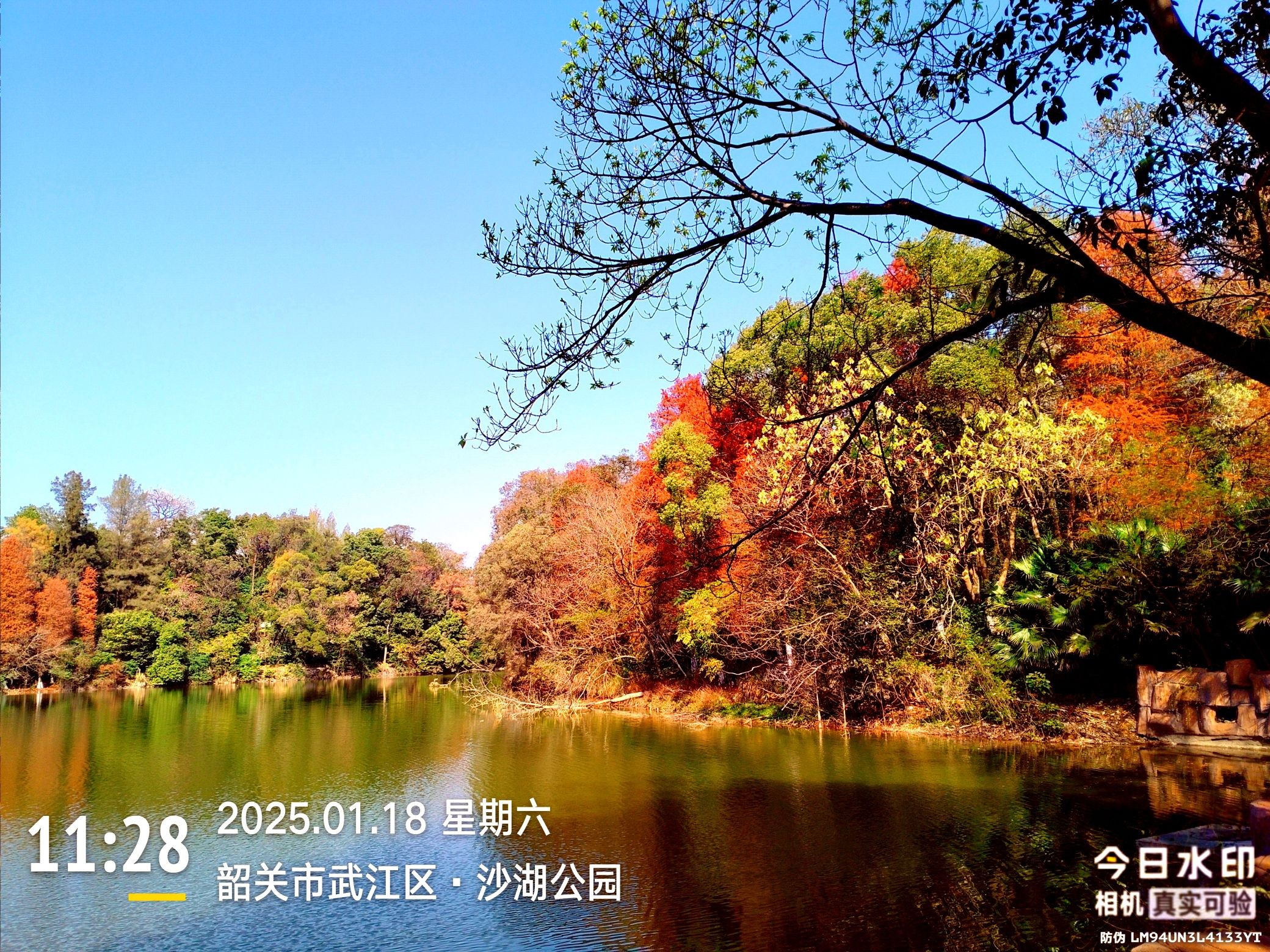 沙湖公园旅行图片 3