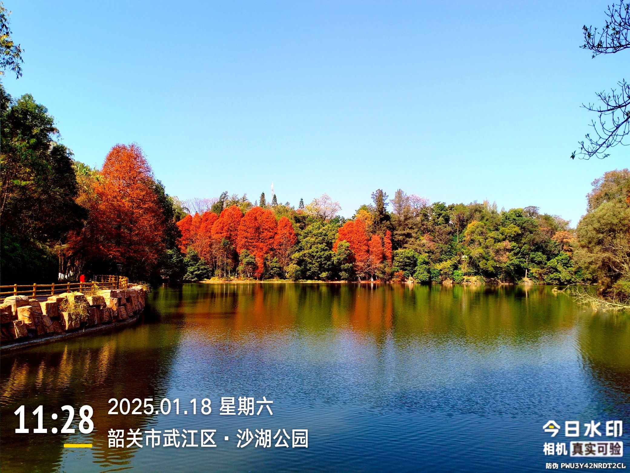 沙湖公园旅行图片 2