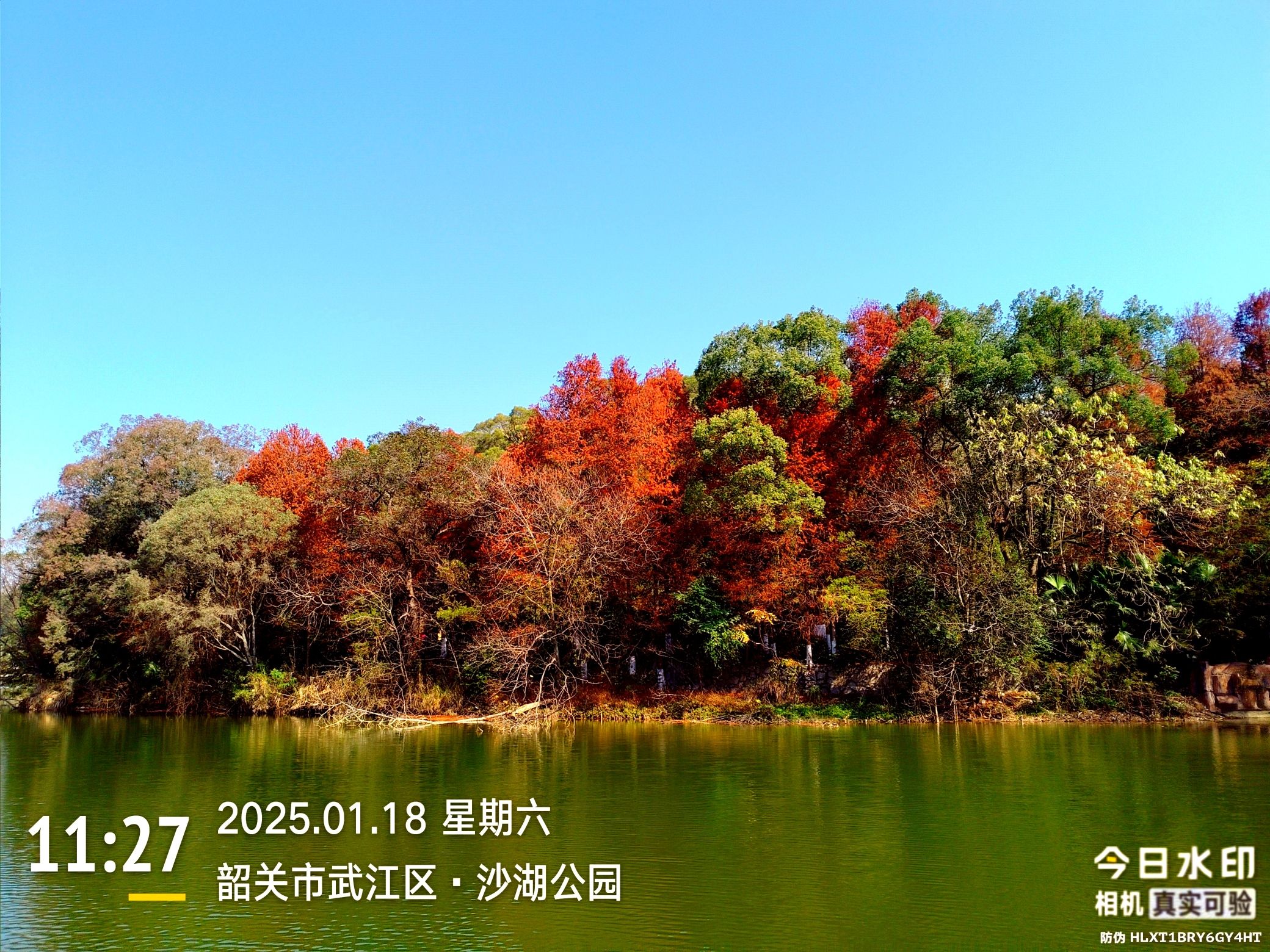 沙湖公园旅行图片 1