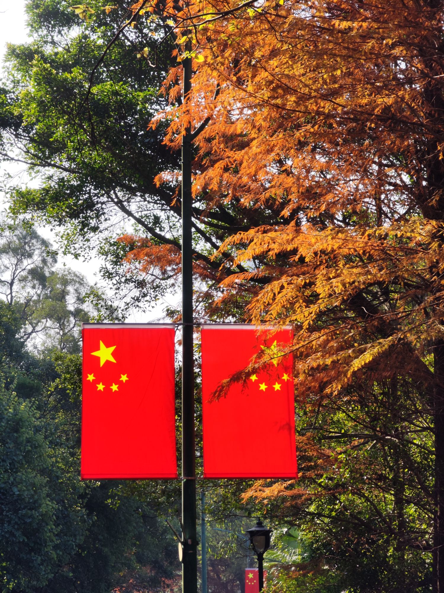 沙湖公园旅行图片 3