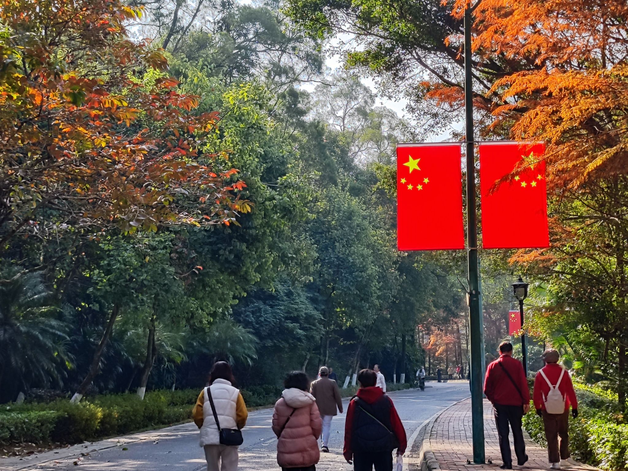 沙湖公园旅行图片 1