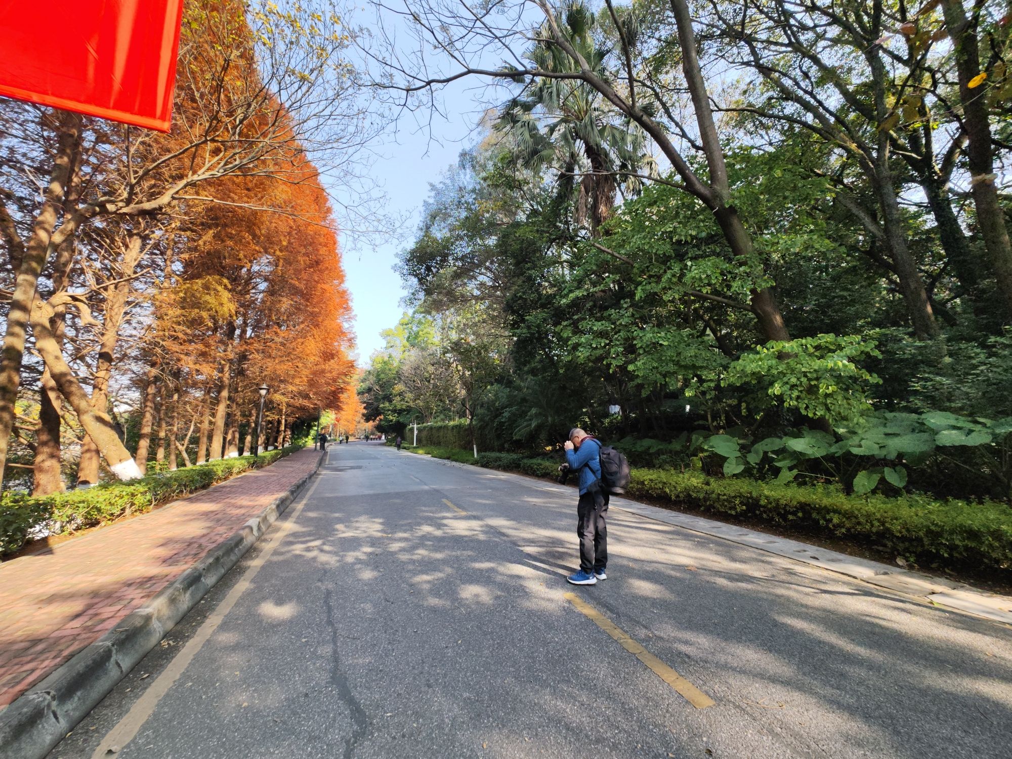 沙湖公园旅行图片 2