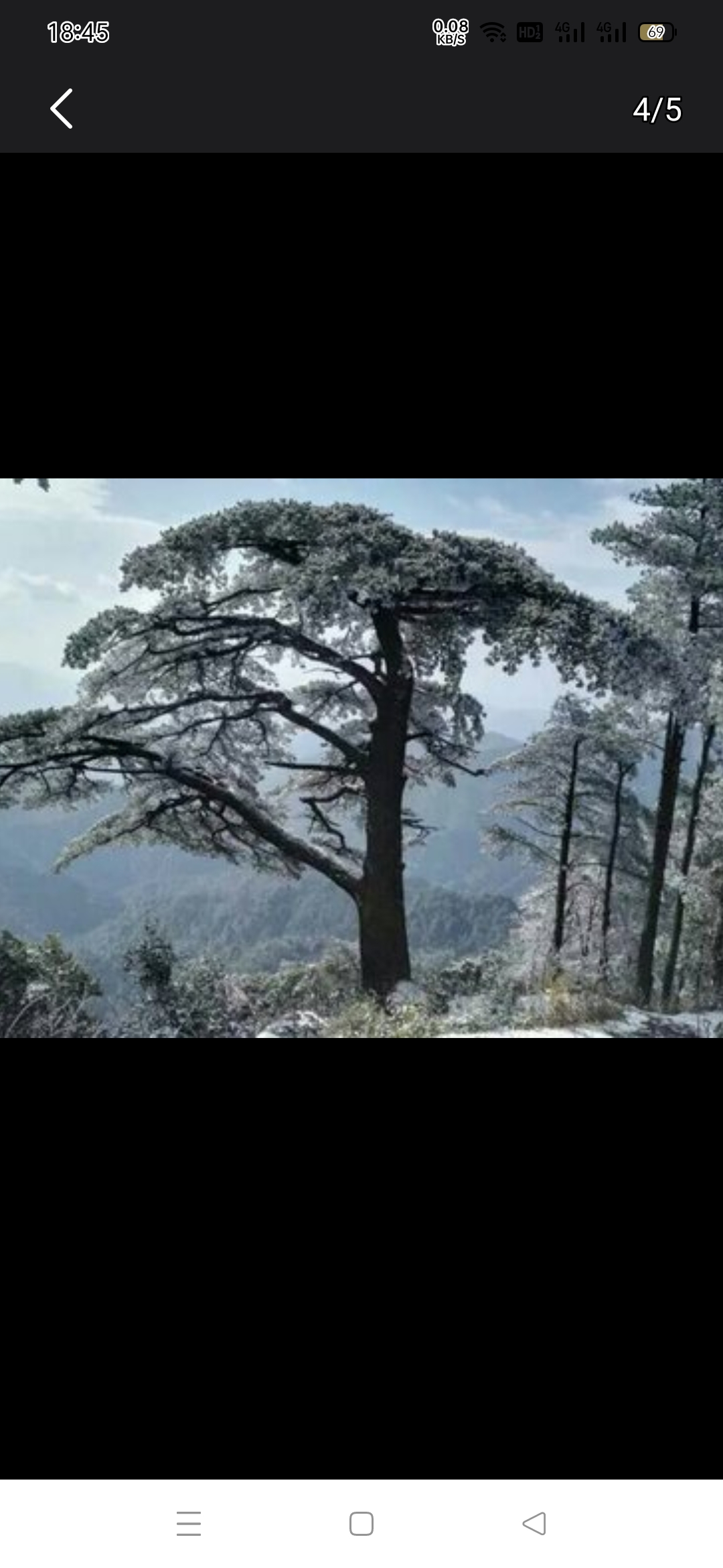 杨东山十二渡水生态旅游区旅行图片 1