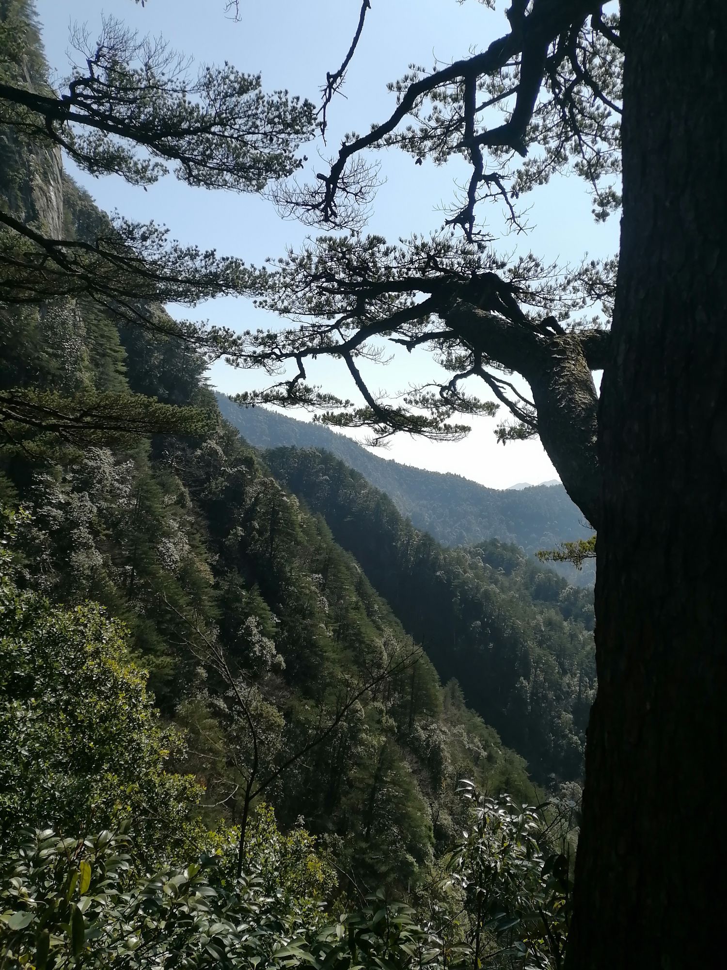 杨东山十二渡水生态旅游区旅行图片 3