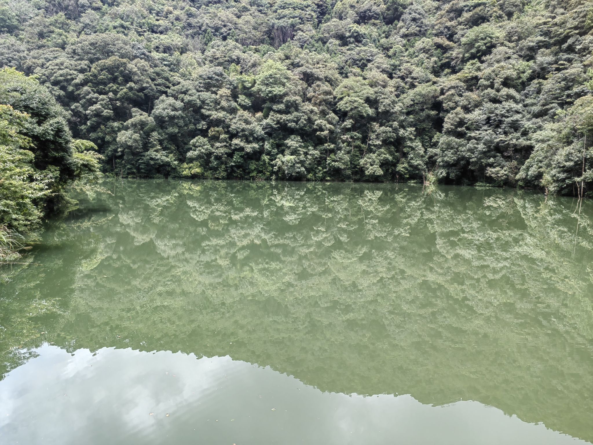 刘张家山林场森林公园旅行图片 3