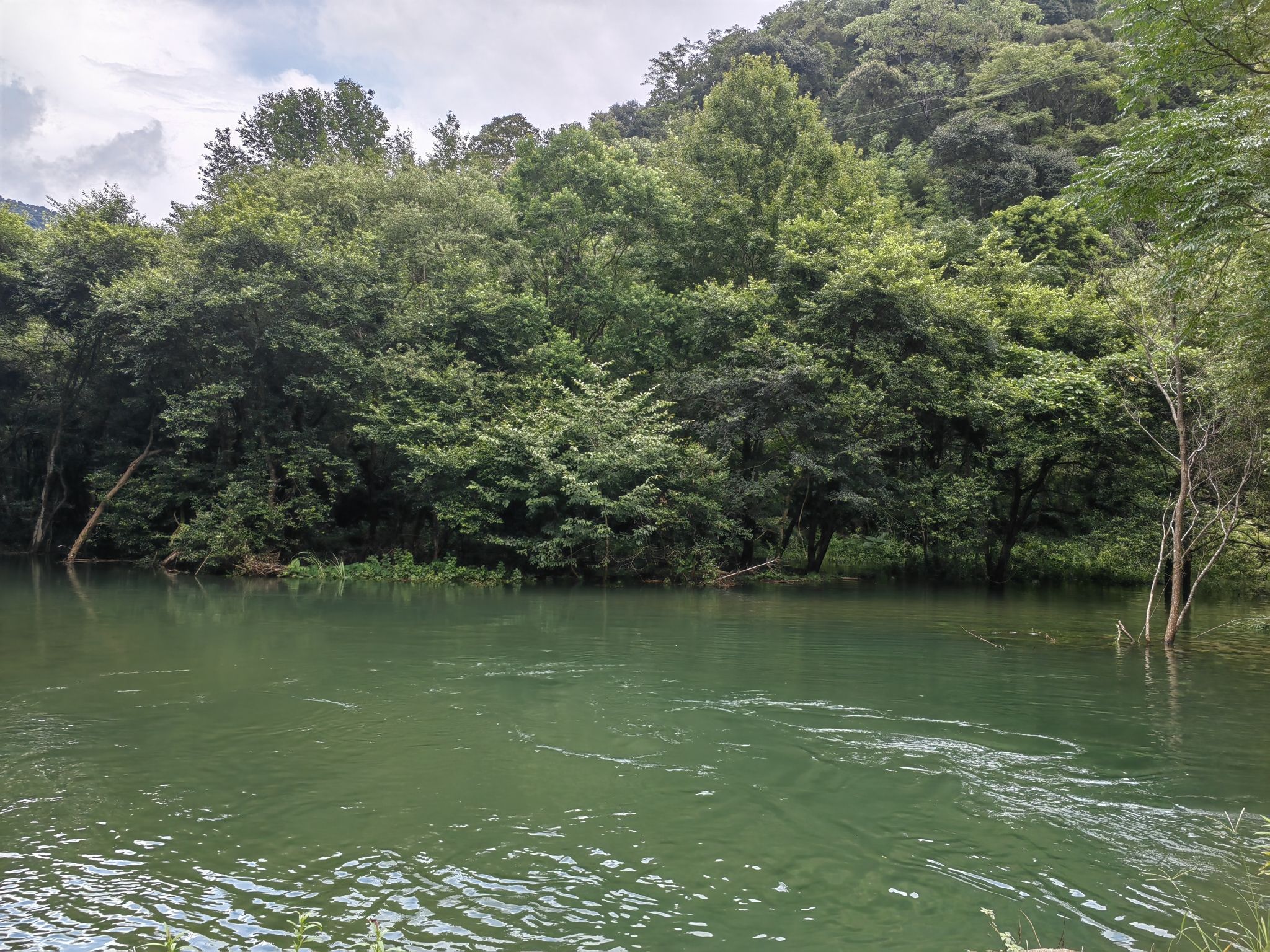 刘张家山林场森林公园旅行图片 2