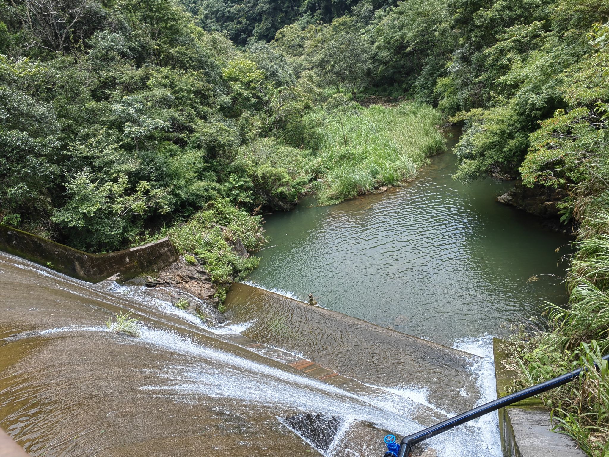刘张家山林场森林公园旅行图片 1