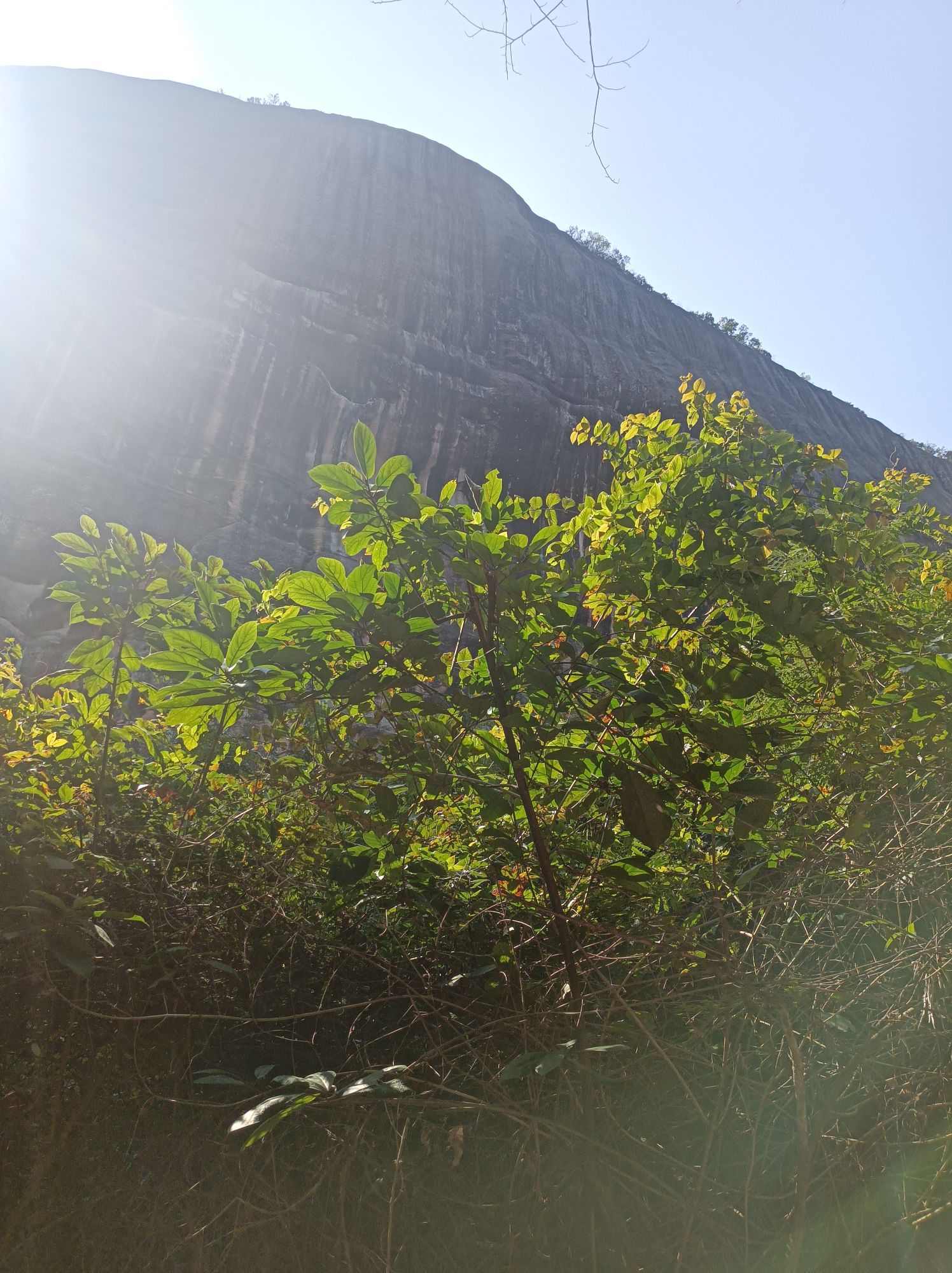 丹凤山公园旅行图片 2
