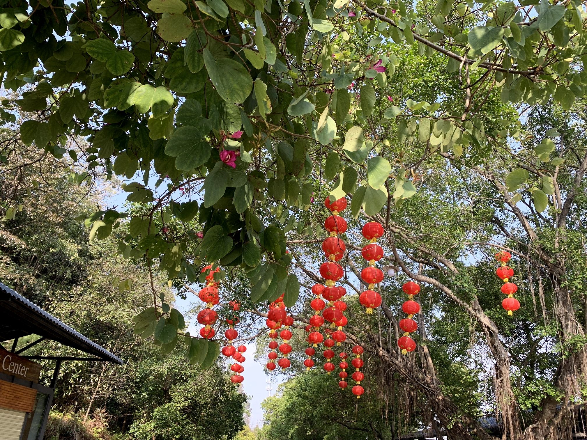 古佛洞天旅行图片 2