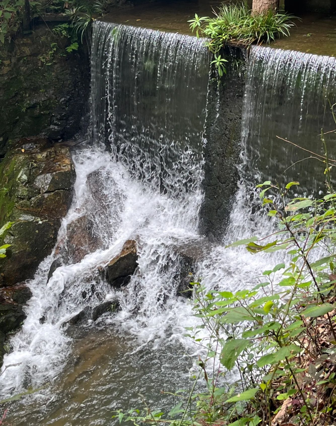 龙王潭生态旅游区旅行图片 3
