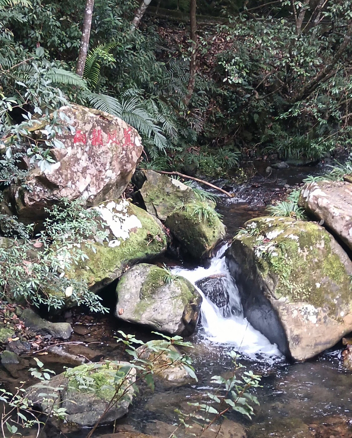 龙王潭生态旅游区旅行图片 1