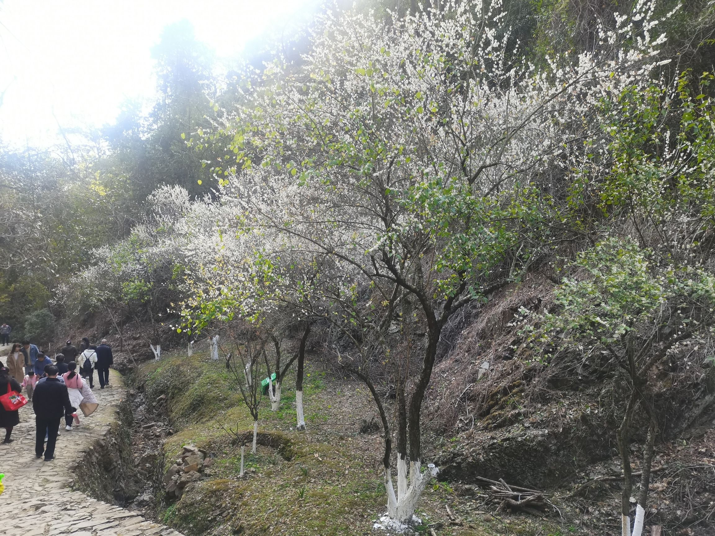 梅关古道景区旅行图片 3