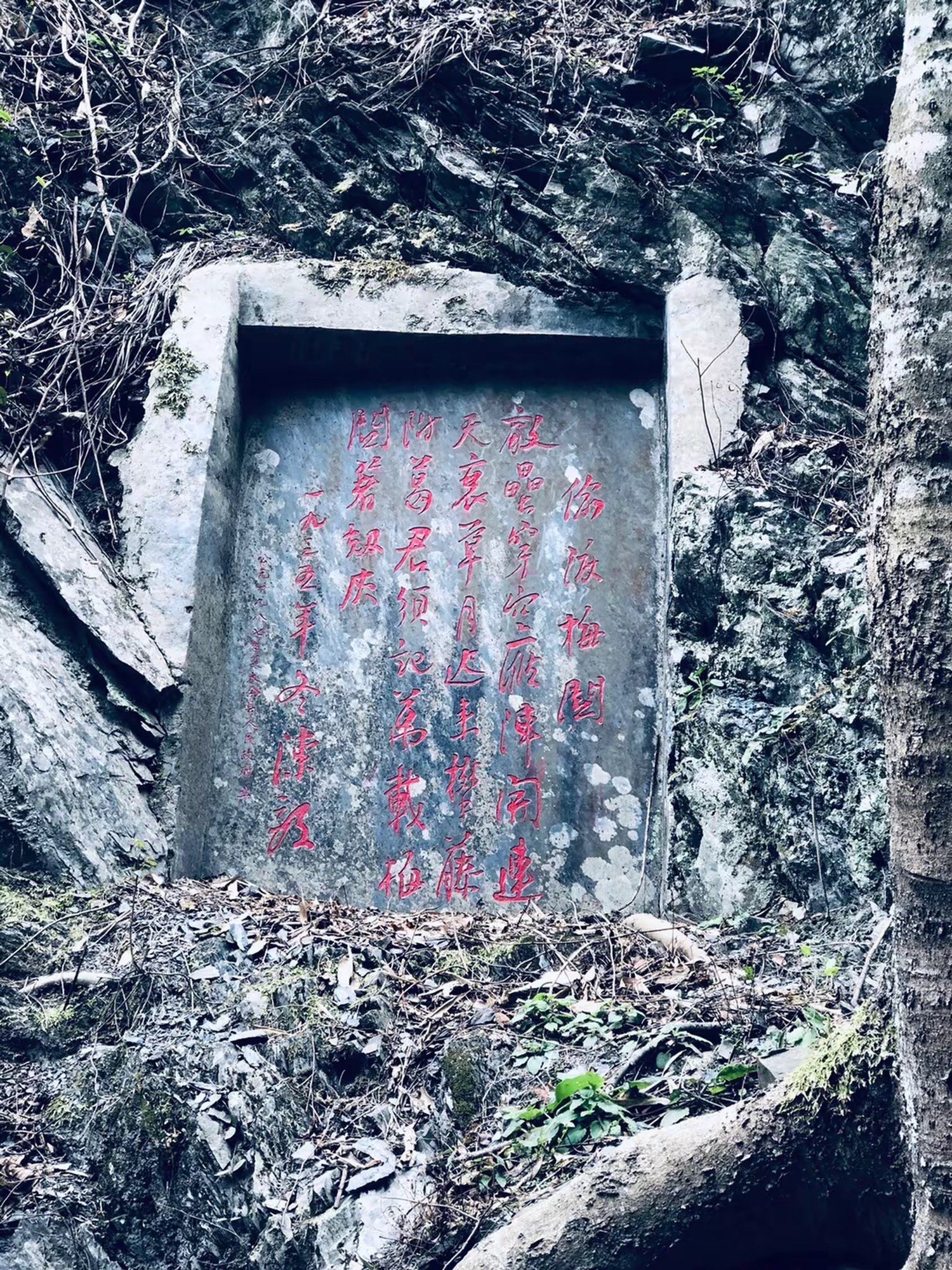 梅关古道景区旅行图片 3