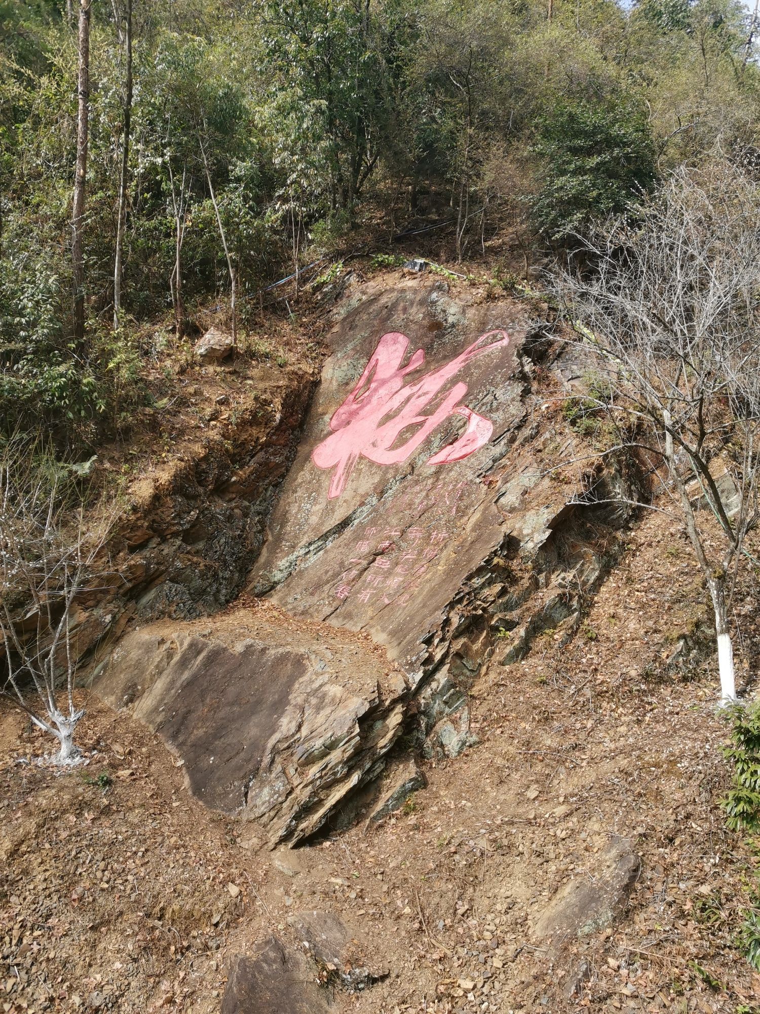 梅关古道景区旅行图片 3