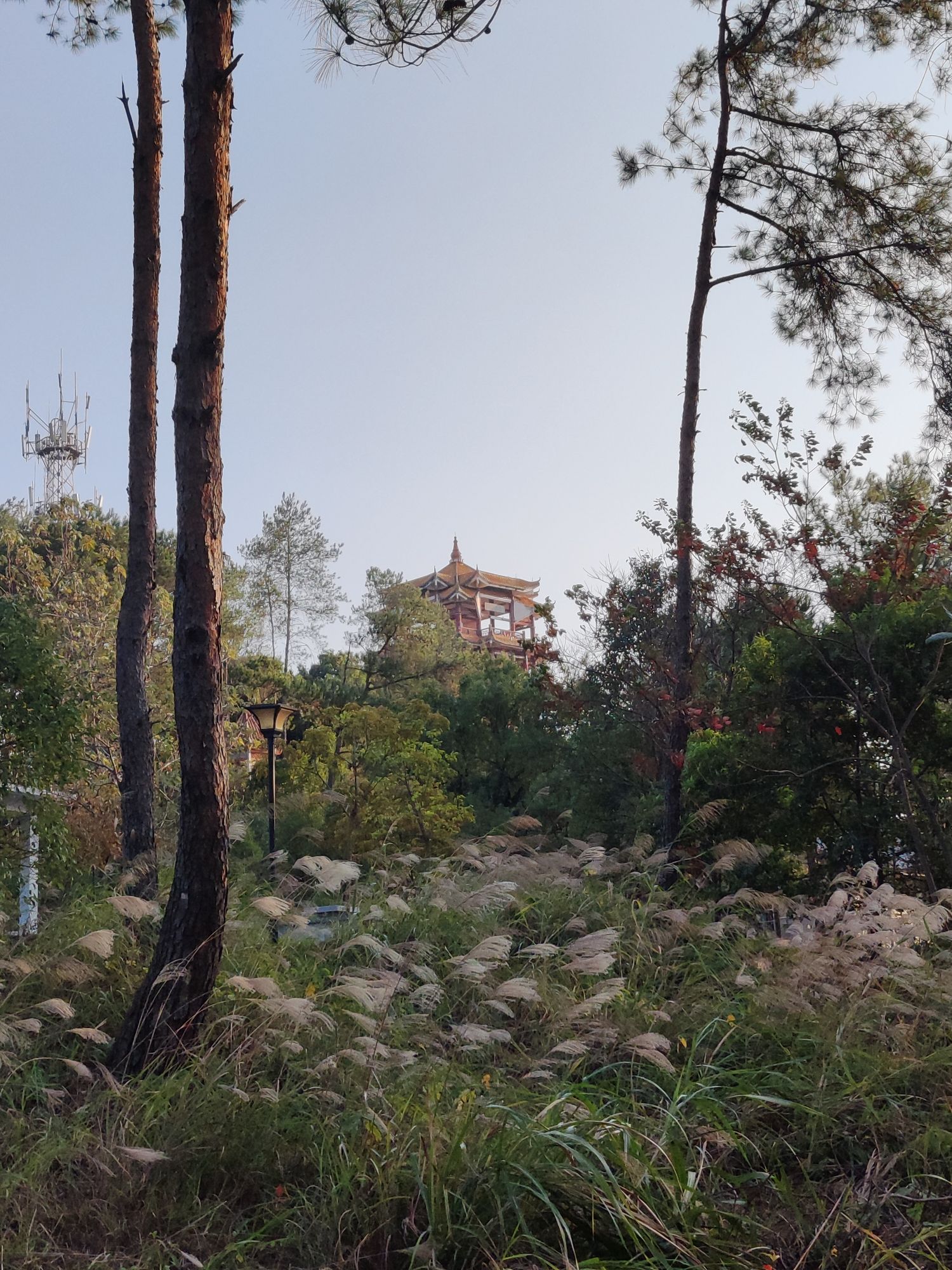 龙仙公园旅行图片 1
