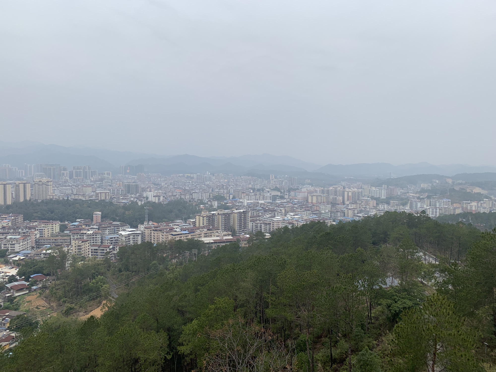龙仙公园旅行图片 2