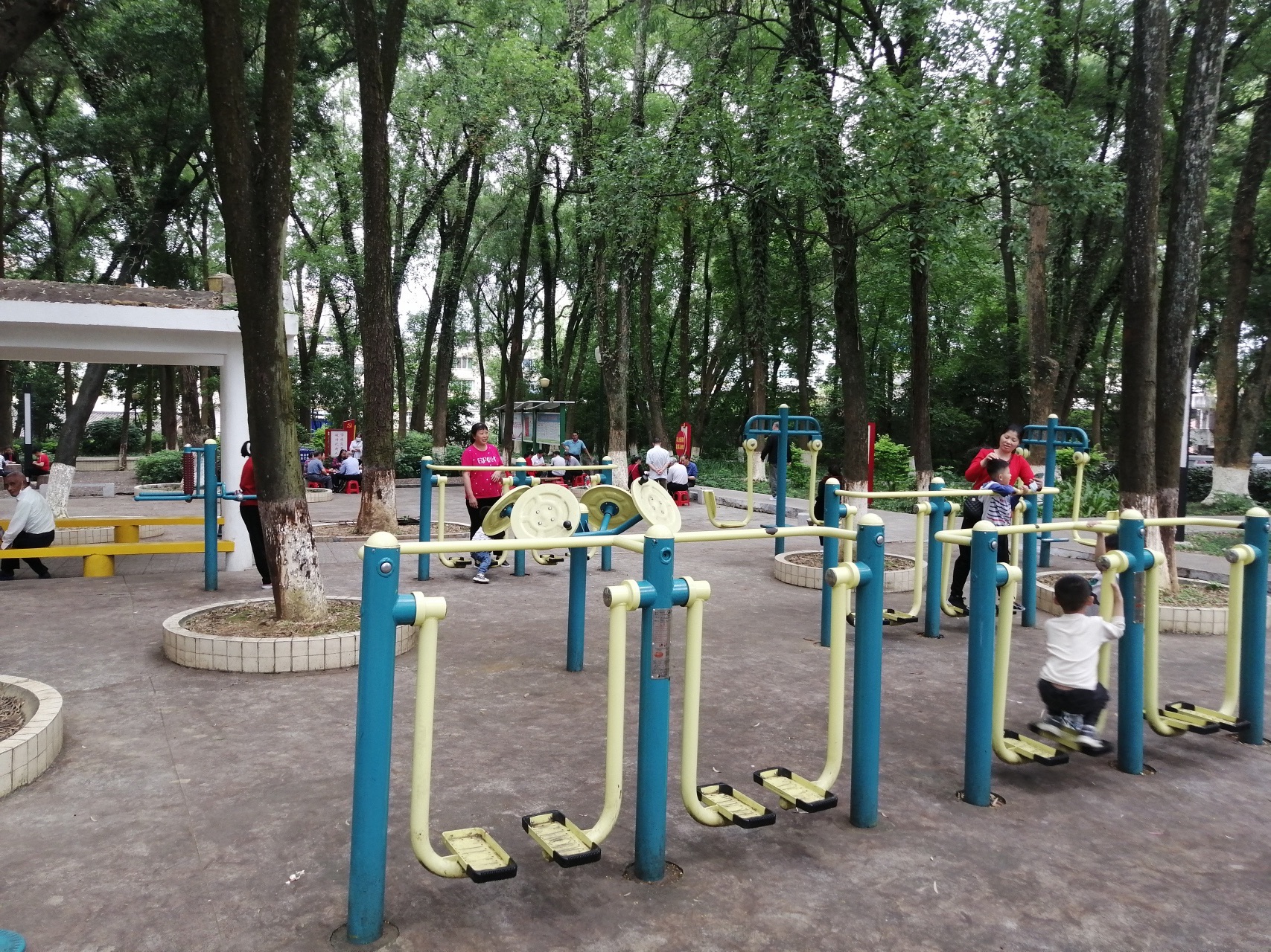 人民公园旅行图片 2