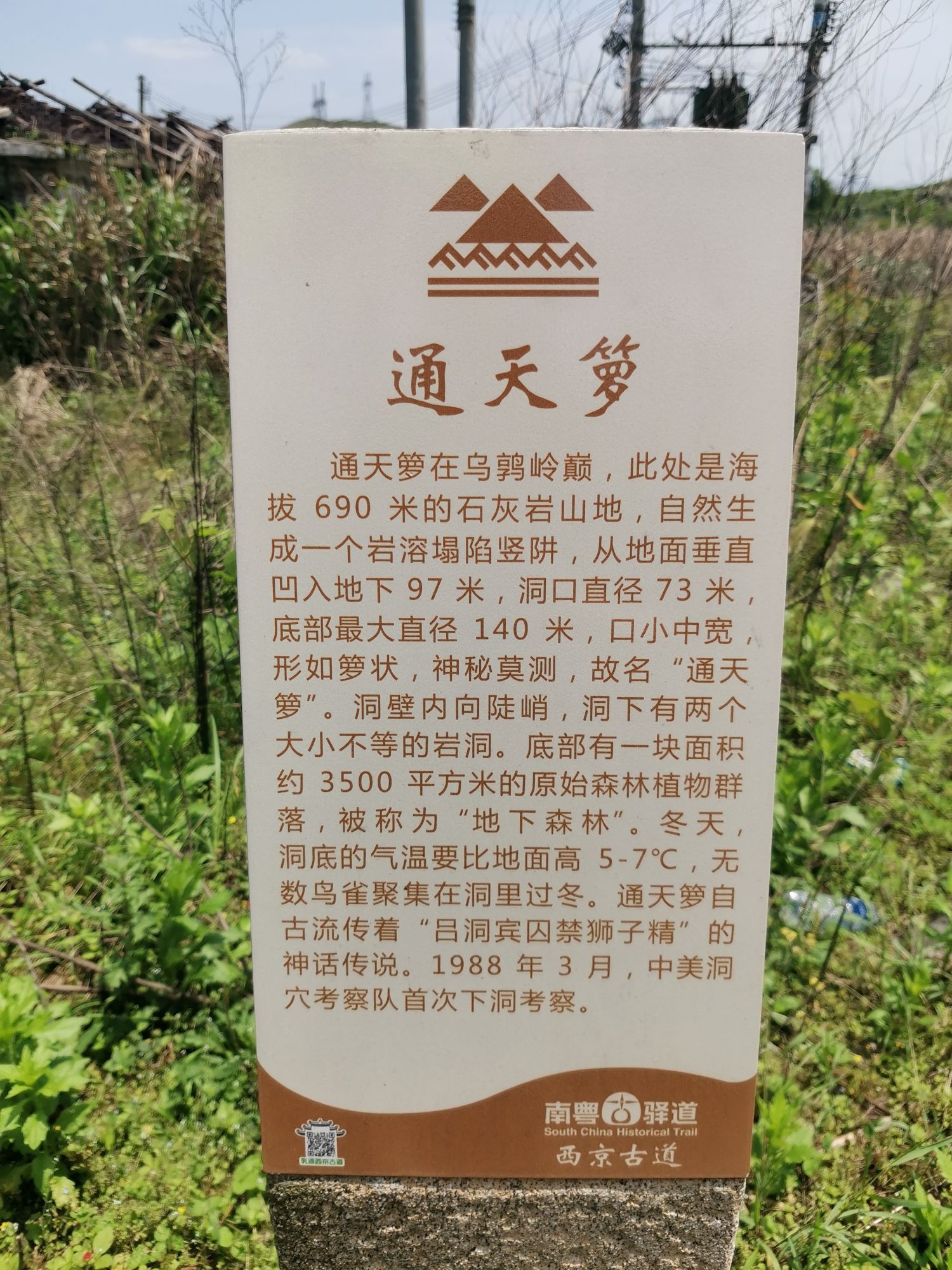 通天萝(暂停开放)旅行图片 2