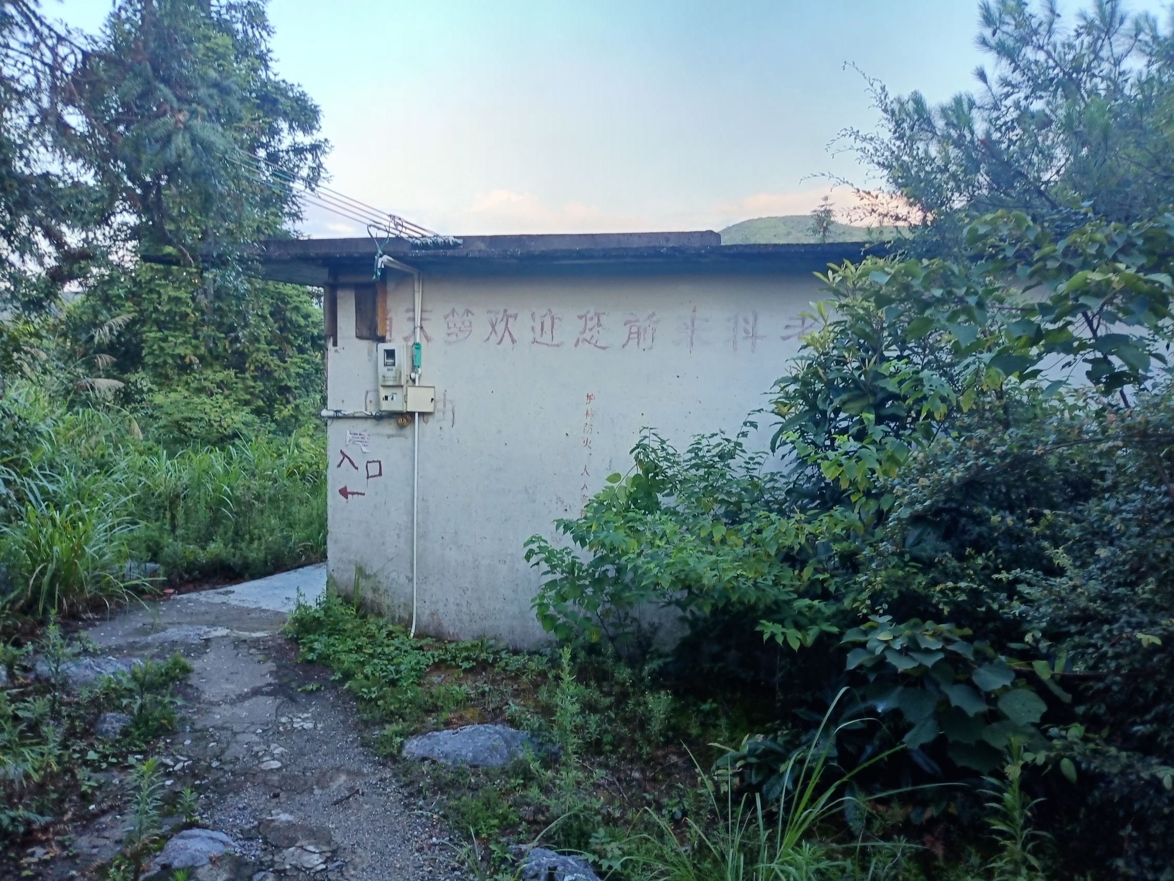 通天萝(暂停开放)旅行图片 3