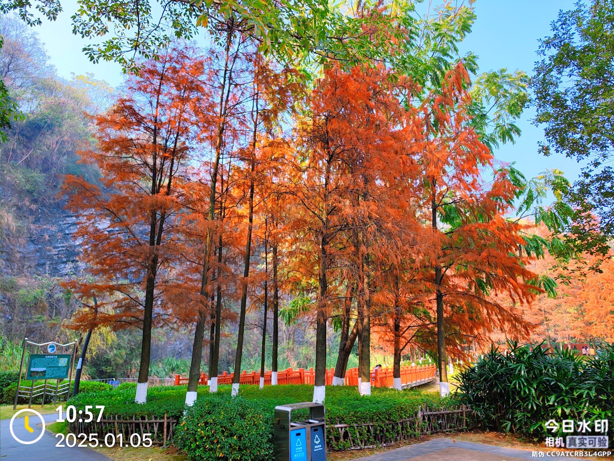 广东韶关芙蓉山国家矿山公园旅行图片 3