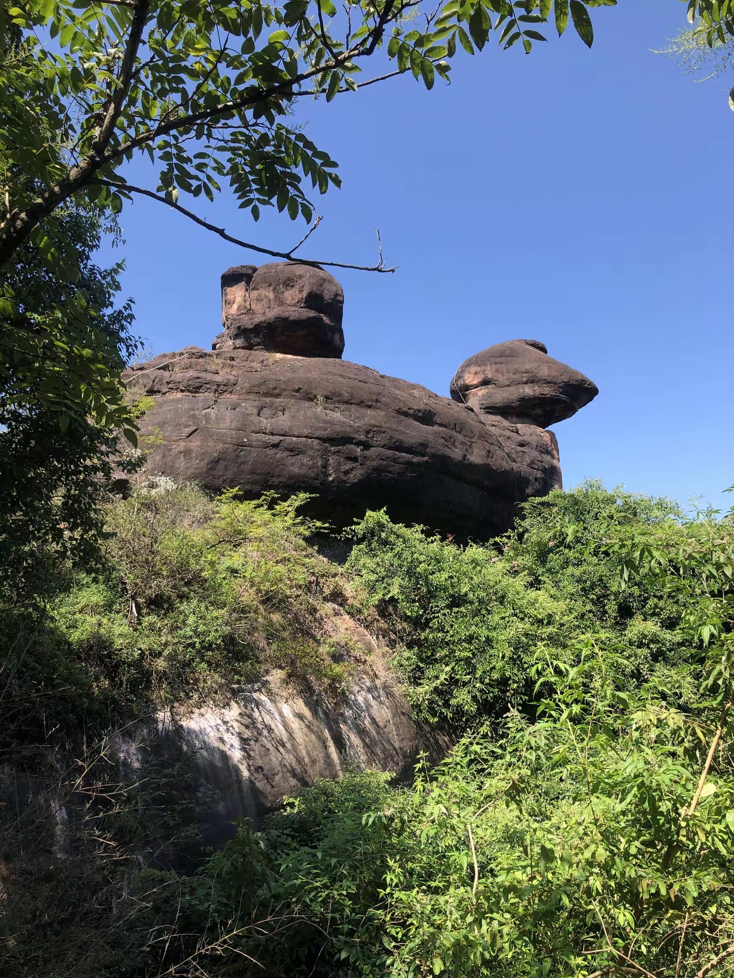 金鸡岭旅行图片 1