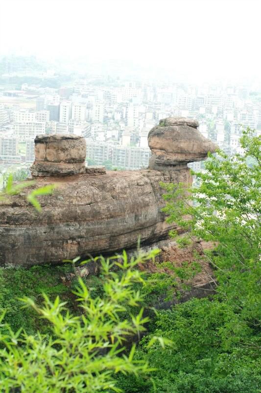 金鸡岭旅行图片 1