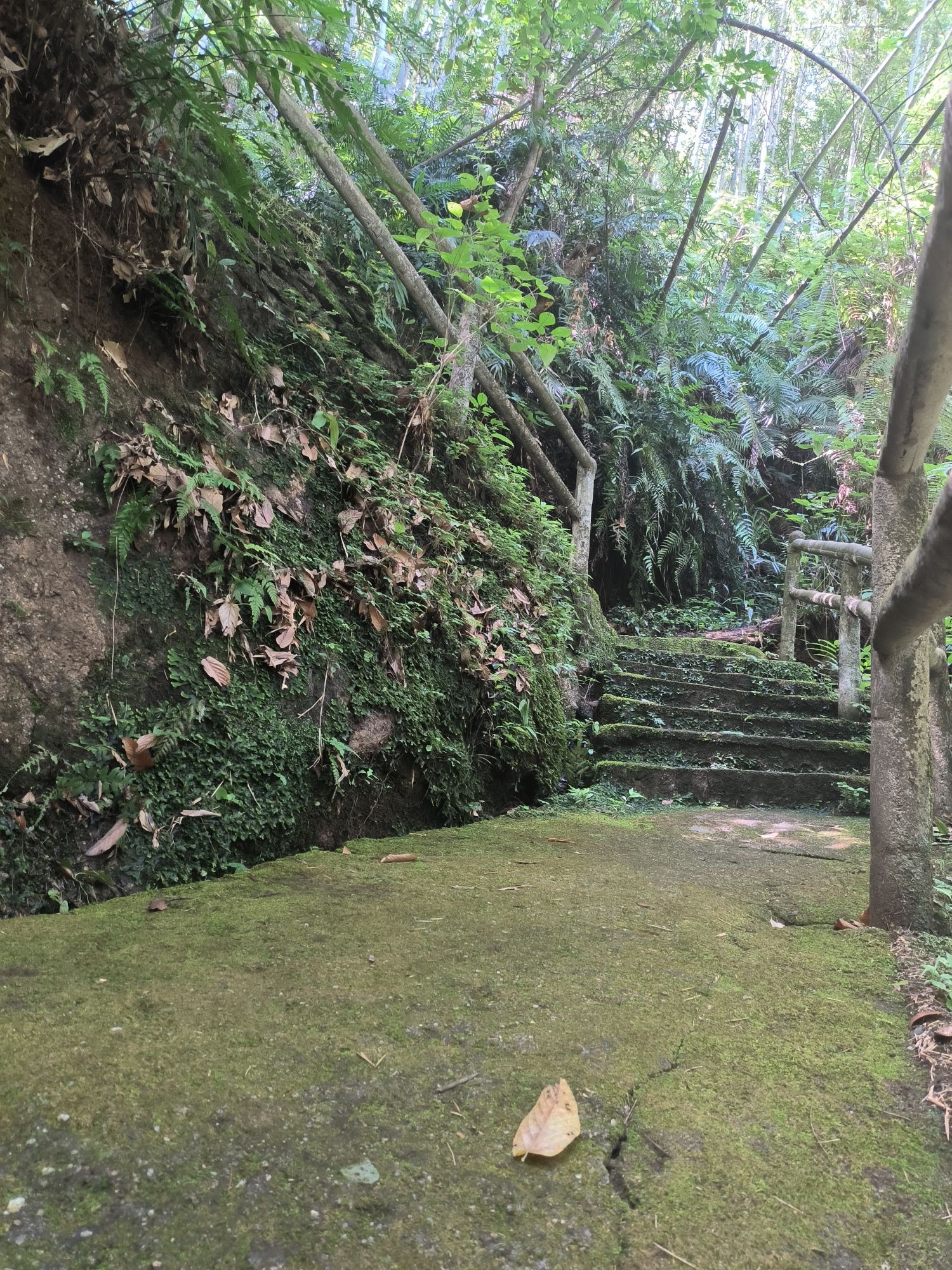 乐昌市白水寨生态园旅行图片 3