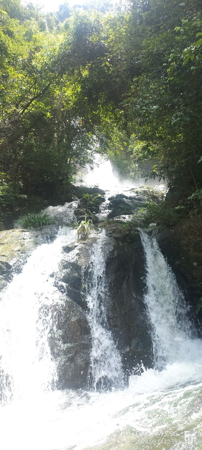 乐昌市白水寨生态园旅行图片 2