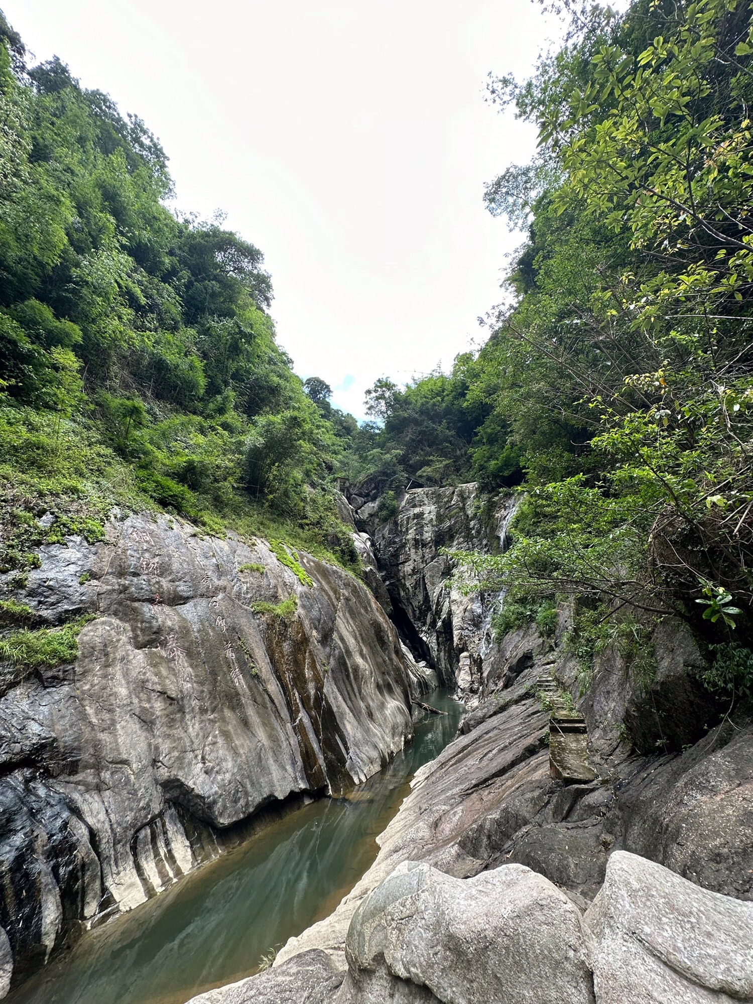 天井山国家森林公园旅行图片 2
