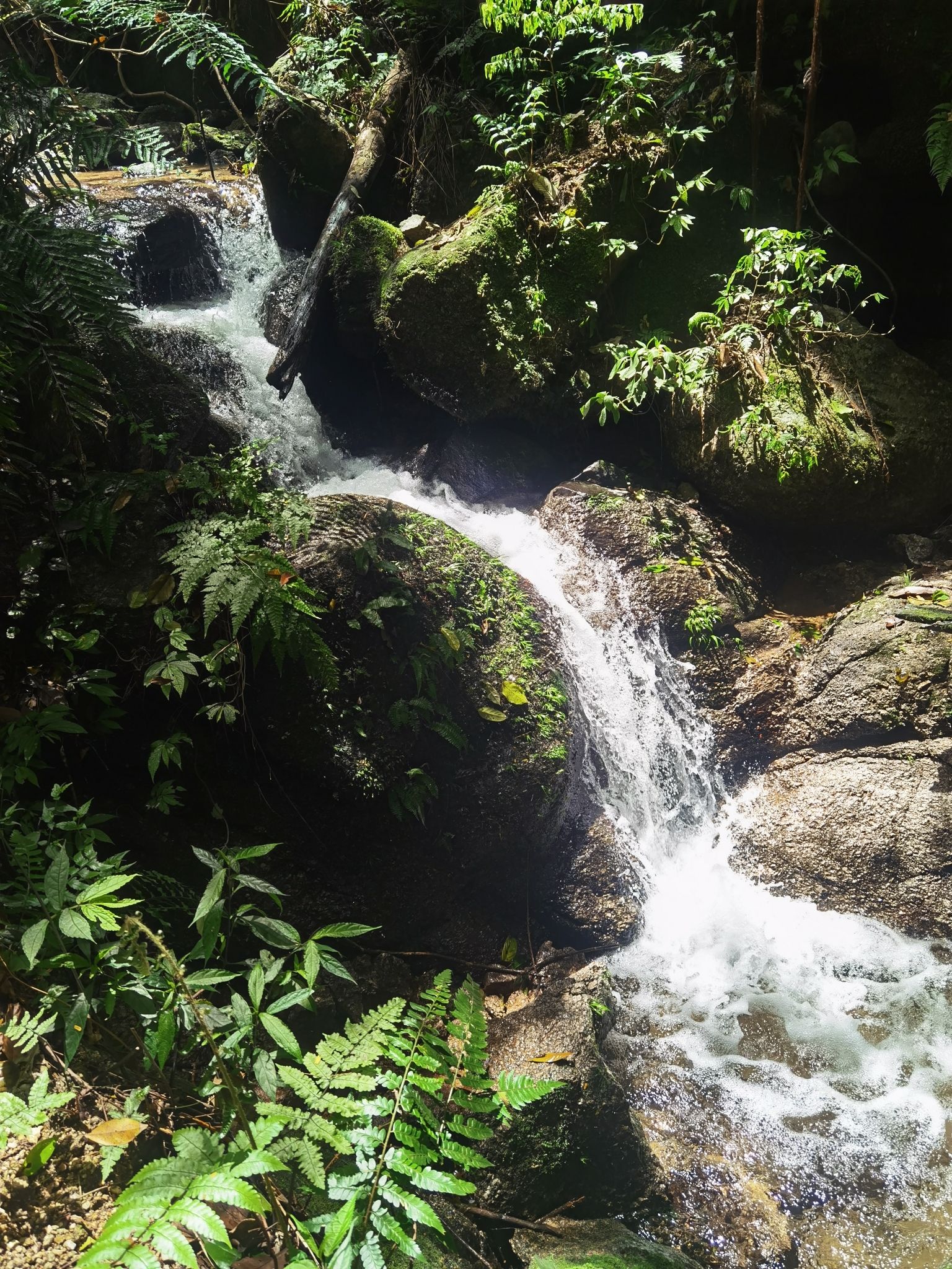 天井山国家森林公园旅行图片 3