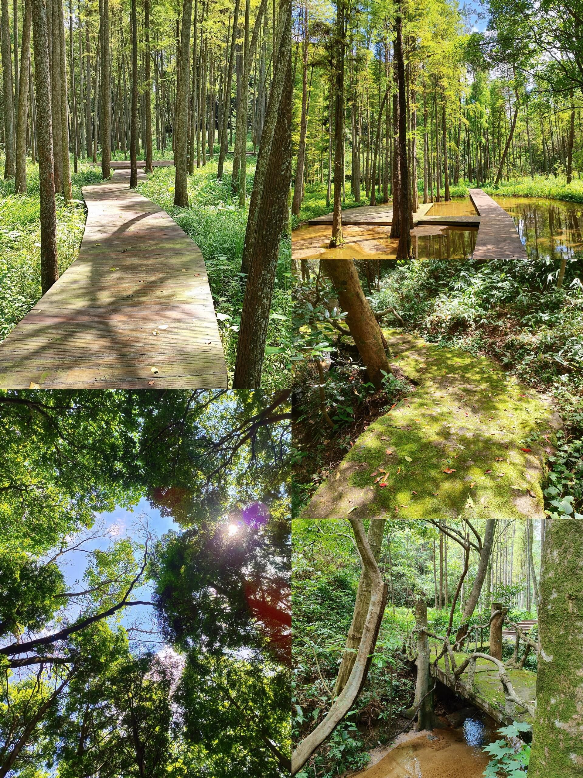 天井山国家森林公园