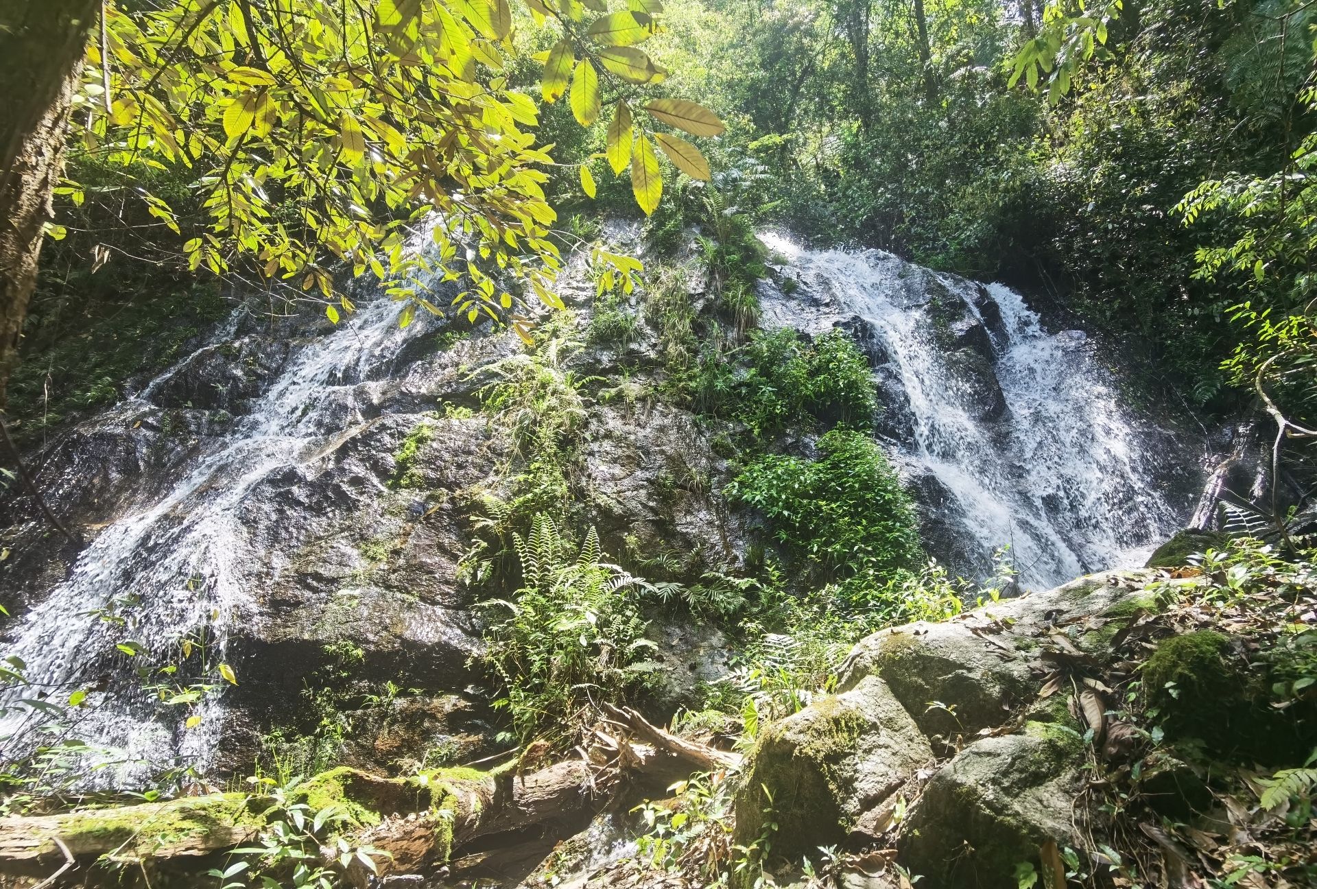 天井山国家森林公园旅行图片 2