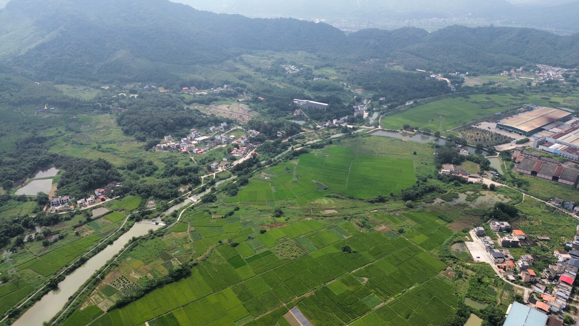 九龄公园旅行图片 3