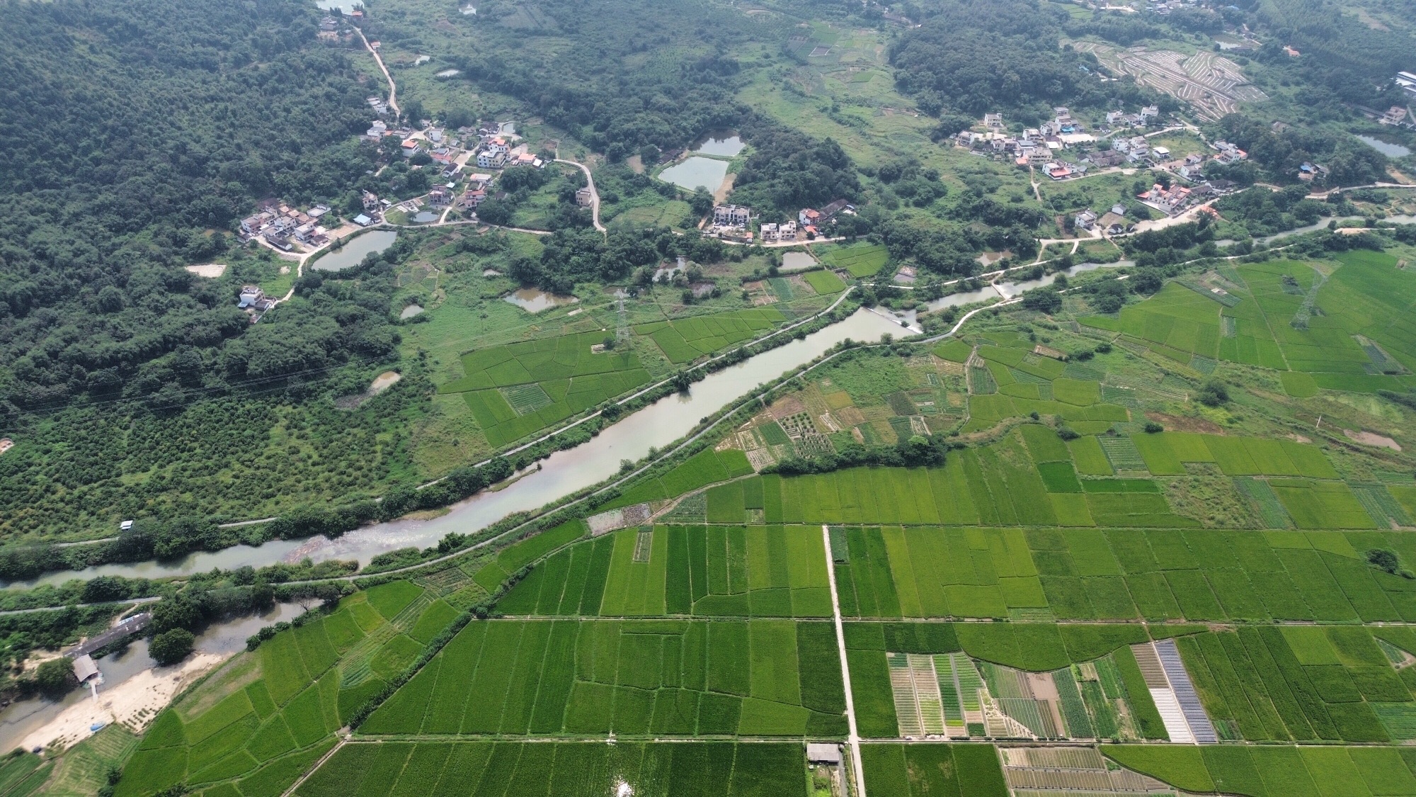 九龄公园旅行图片 2