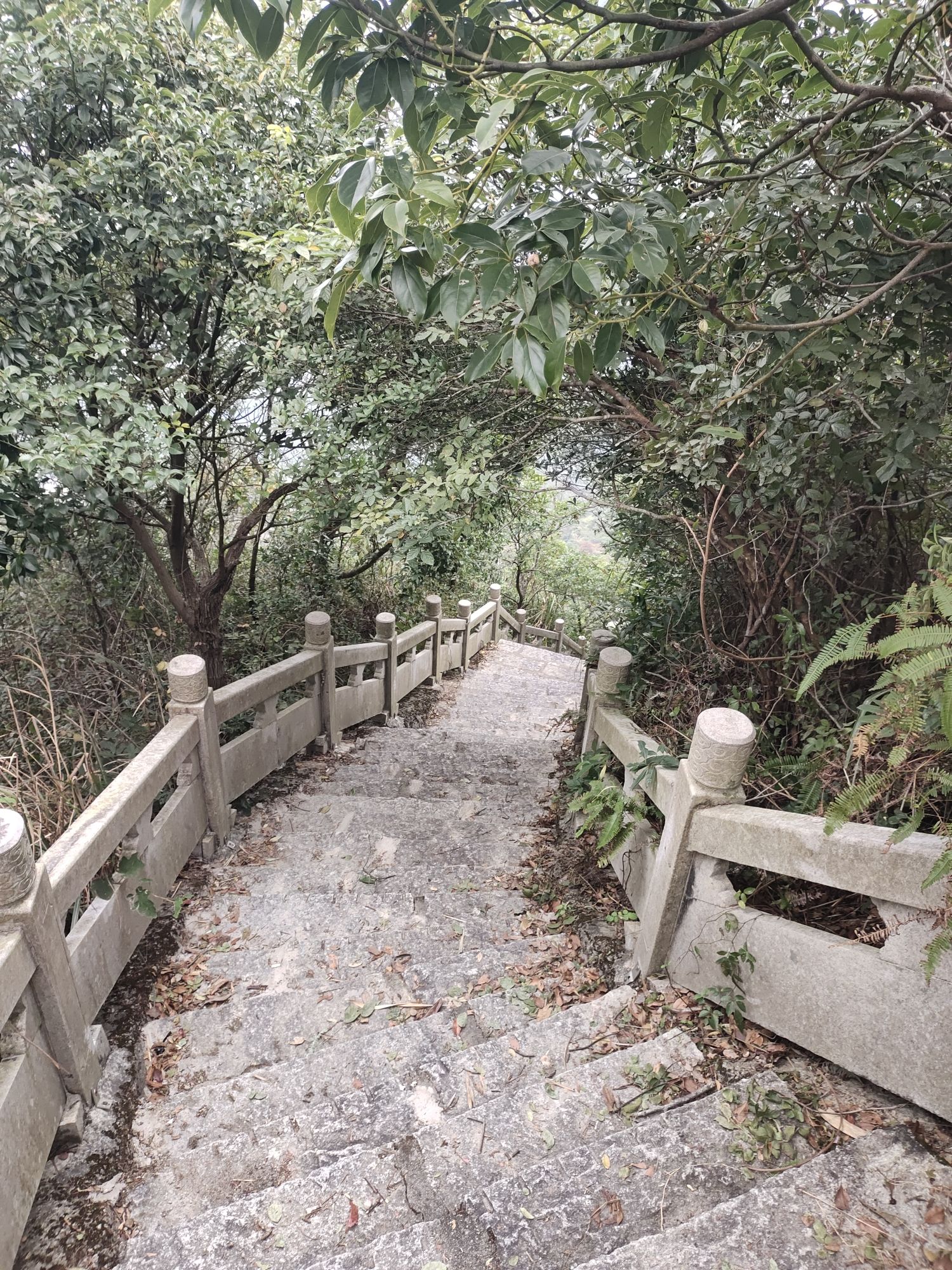 九龙峰旅游区旅行图片 2
