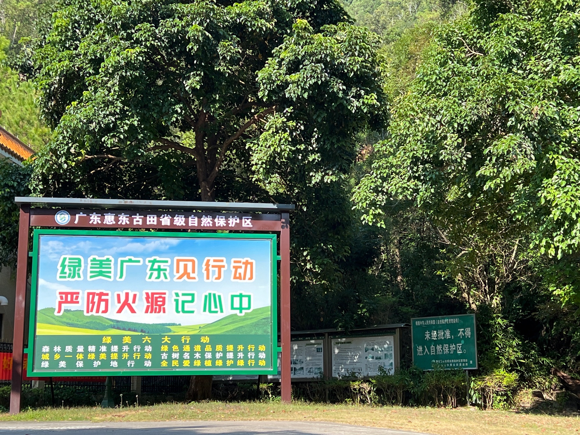 广东惠东古田省级自然保护区(不对外开放)旅行图片 2