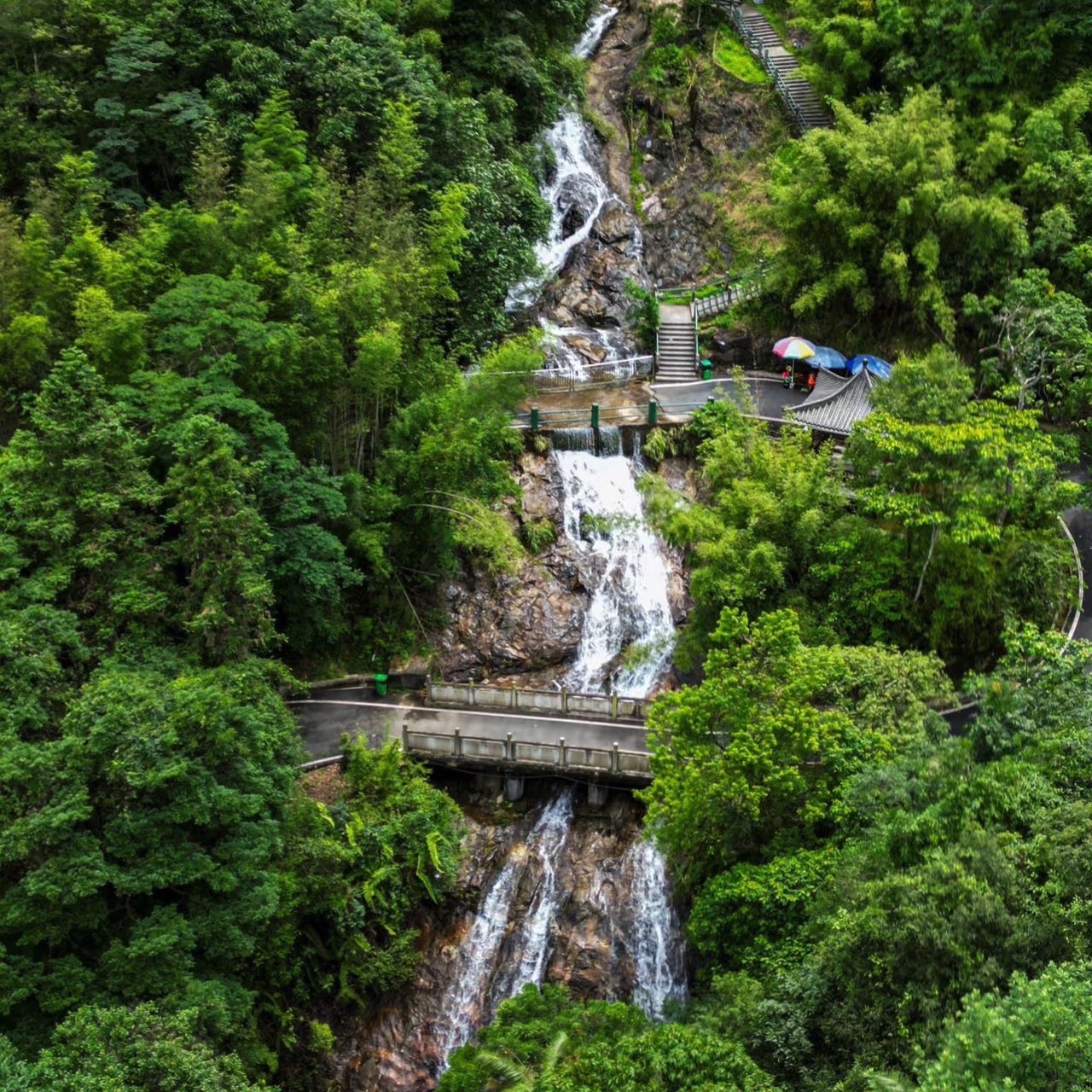 南昆山国家森林公园旅行图片 1