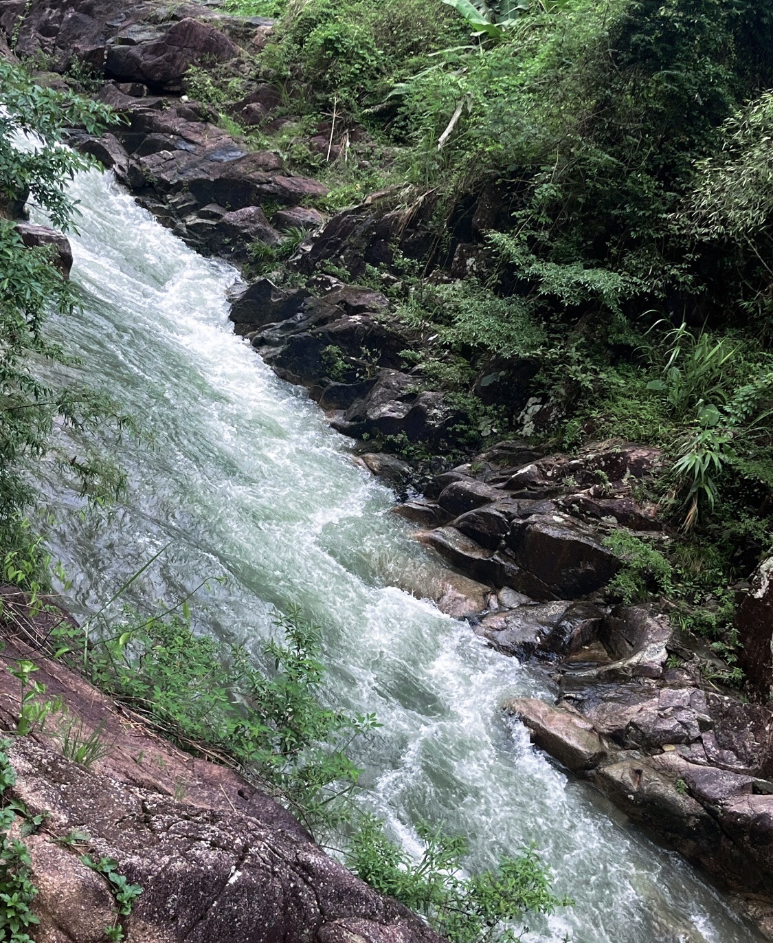 南昆山国家森林公园旅行图片 3
